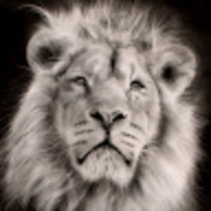 Meet your Posher, Allan